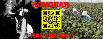 ГАЛЛЮЦИНОГЕННЫЕ ГРИБЫ Кунгур