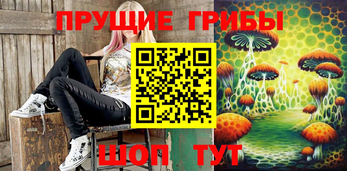 Галлюциногенные грибы GOLDEN TEACHER  Вход с VPN  где продают наркотики  Алапаевск 